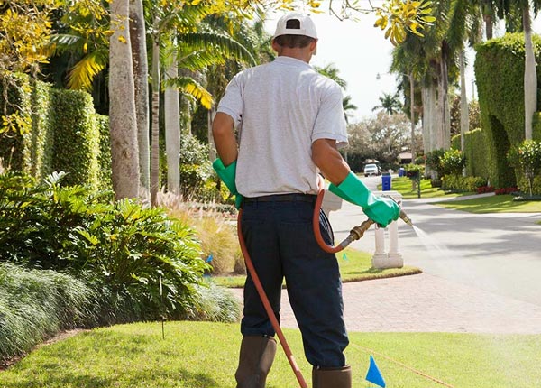 About Freedom NY Pest Control